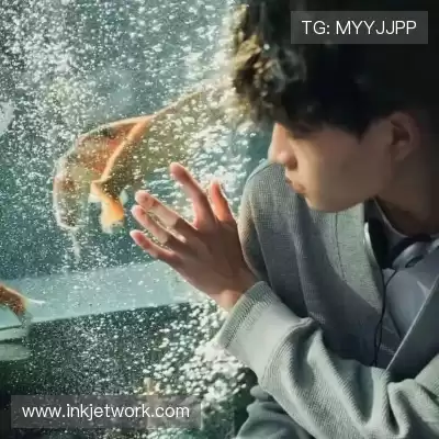 娄晟焰